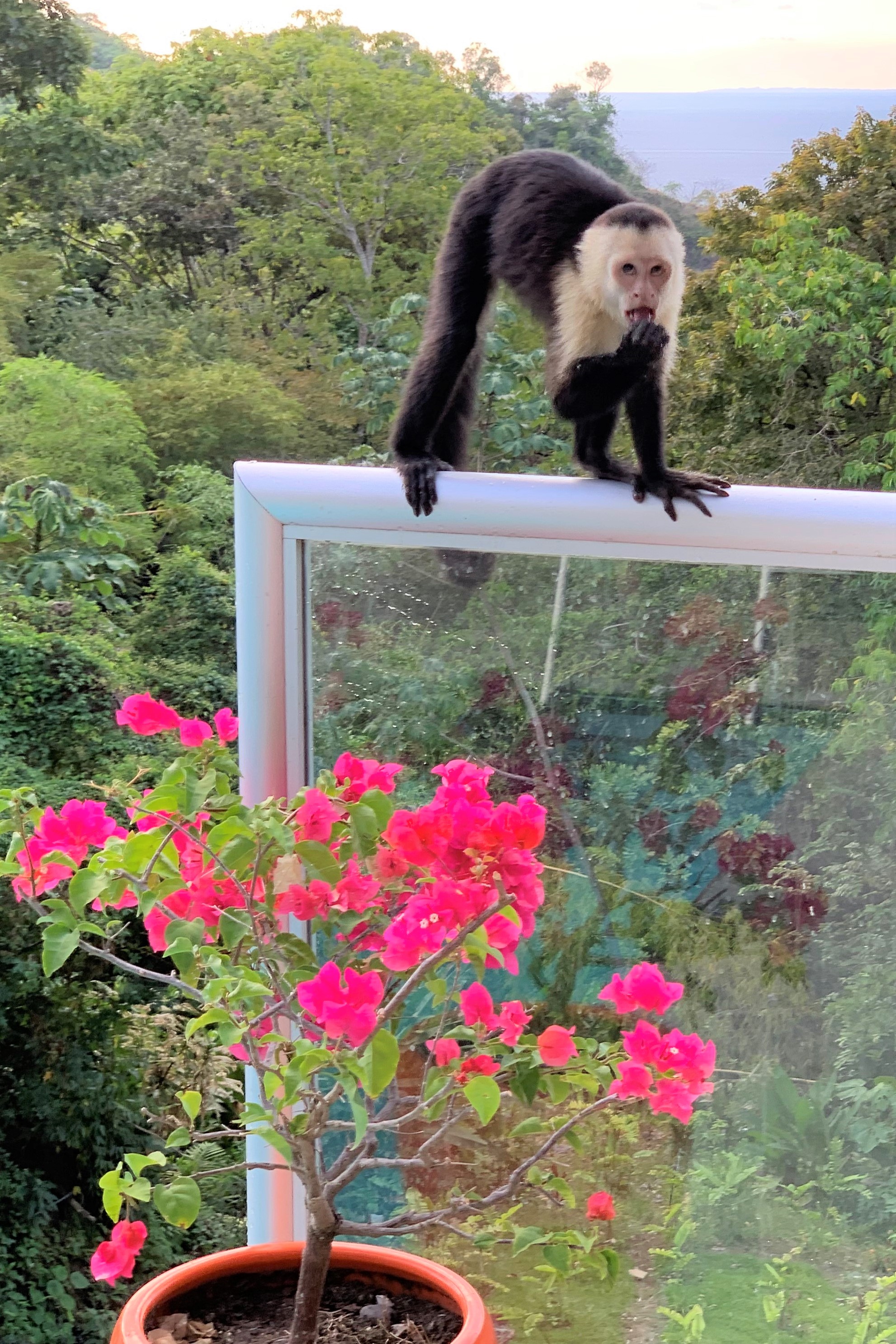 Costa Rica